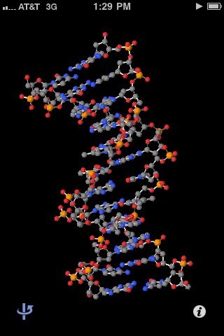 BioScienceFacts's tweet image. Ball and stick model of 5'-3' DNA &amp;lt;3