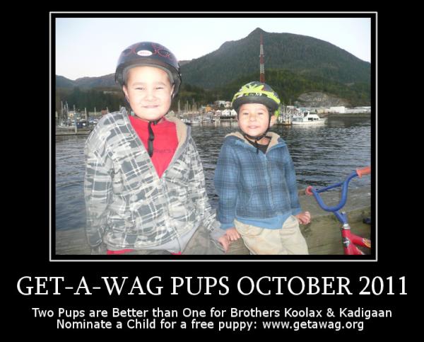 queensbeagle's tweet photo. Congratulations to Koolax and Kadigaan from Alaska: Received TWO Get-A-Wag Puppies in a DOUBLE DONATION www.getawag.org http://t.co/HE7ygVcI