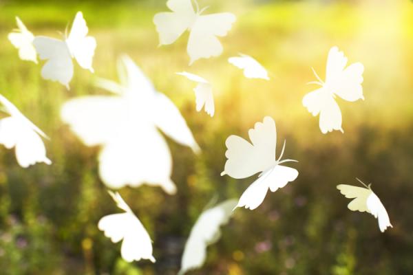 SuginoStudio's tweet image. 2NIGHT: Don't forget 2 check out @Todd_McLellan's entry 4 @drawntodevelop @ the @Distillery_TO bit.ly/nqmsXW #in