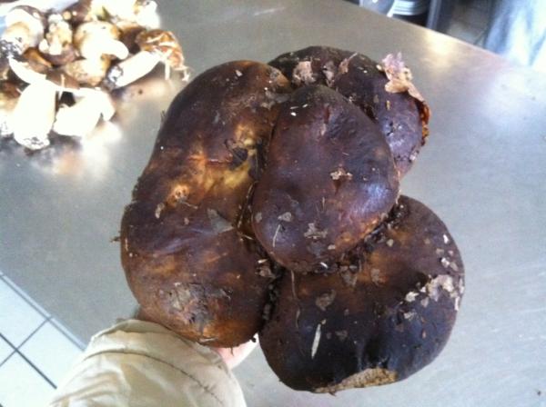 POLITO EGIDIO tweet media