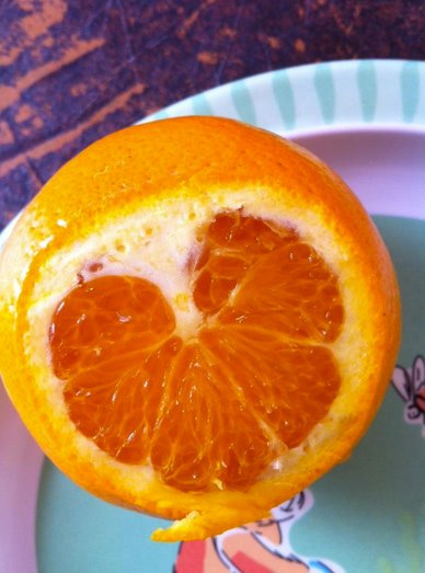 innocent's tweet photo. Love at first orange (thanks @cherry_dee) http://t.co/Gu10M8Iz