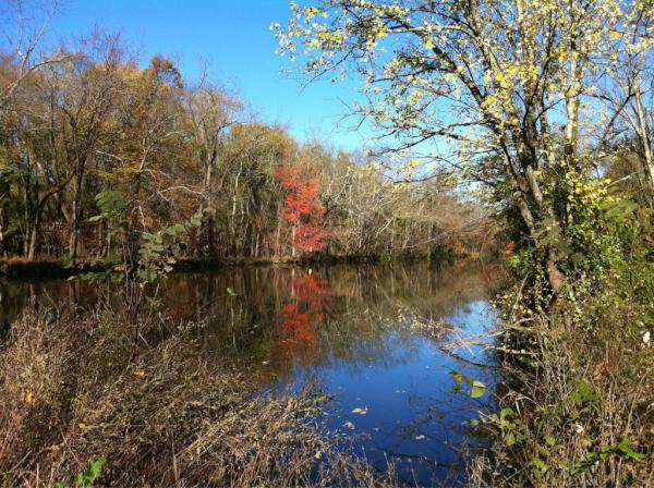 ZebraKevin's tweet image. Beautiful picture Planty! RT @itsPlanty: [ Pictures from the Danville Canal ]