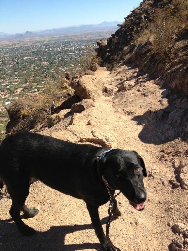 A little camelbaction on a beautiful Friday morning #mydogistired