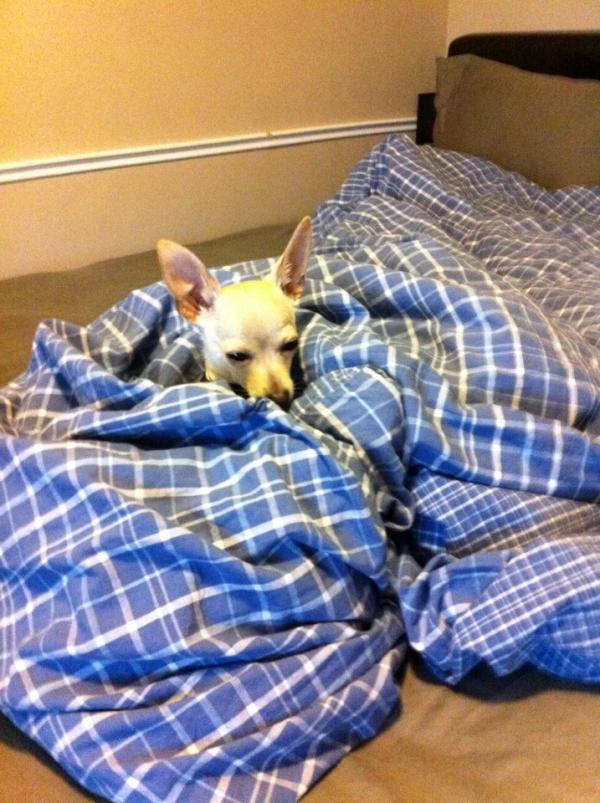 johnny lockdown (@morellsxeen) on Twitter photo 