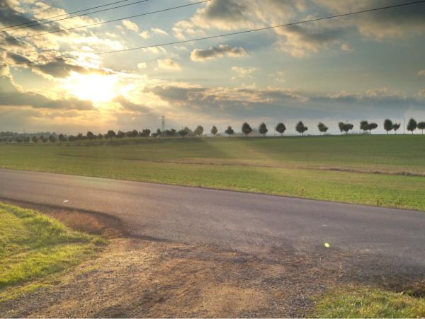 thecushman's tweet photo. CSA Farm street. http://t.co/9eIaHg1D
