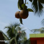 Photo by RAHUL (@infution)
