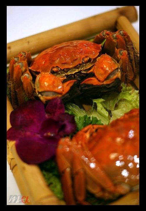 sgDY's tweet photo. Hairy crab season ending soon! http://t.co/EaRbPaIf