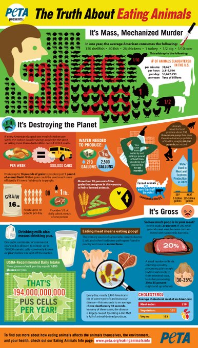 from PETA, The Truth About Eating Animals. #Infographic http://t.co/lwPpwn8G<a href="/tag/infographic"class="tags">#Infographic</a>
