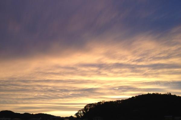 キレイな夕焼け