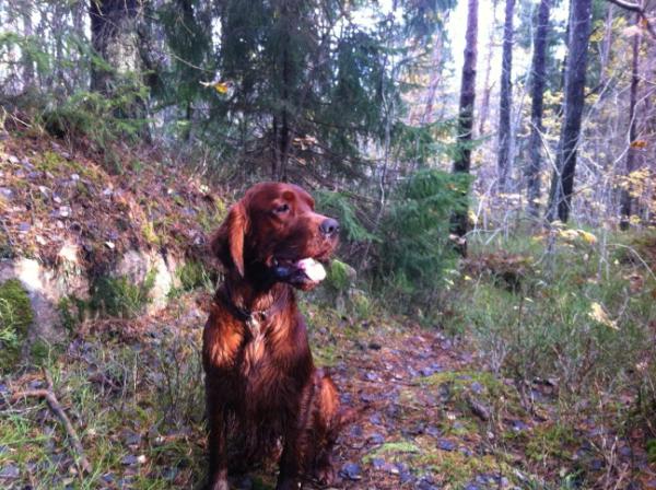 Johanhagberg's tweet photo. Visst badsäsong för vissa.. http://t.co/UEiT7w5G