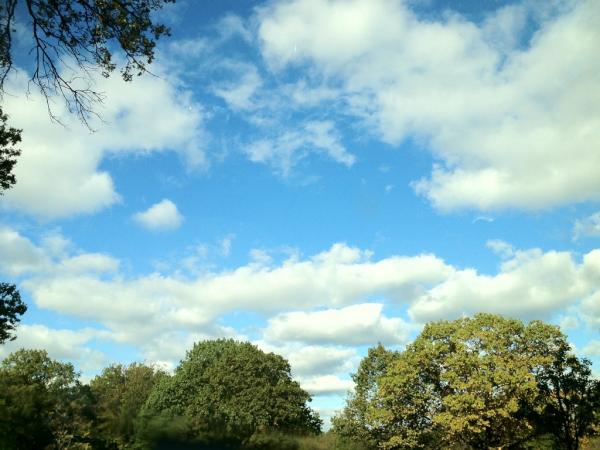 ahsanyy's tweet photo. What a beautiful day! http://t.co/KpDdbi9q