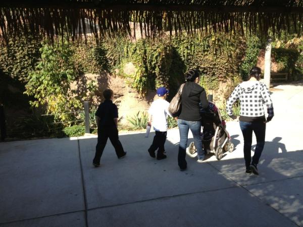 Radfox's tweet photo. At the zoo! http://t.co/AyQoRLCY