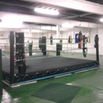 Photo by Team Greaves boxing (@TeamGreaves)