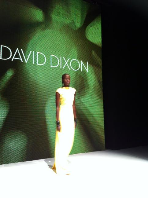 TOFashionWeek's tweet photo. Love that David Dixon opens with a floor-length gown: #lgfw http://t.co/yMYVtbvv