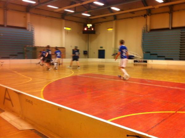 StrindenIBK tweet picture