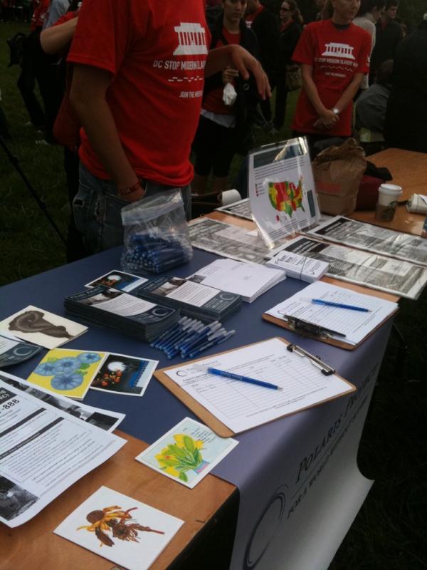 Polaris_Project's tweet image. We&apos;re here! Stop by our table #smswalk #humantrafficking