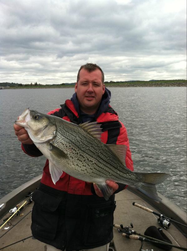 Fish Sense tweet media