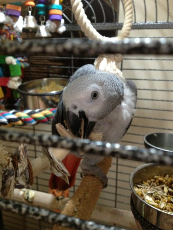 NaughtyOscar's tweet photo. I'm being destructive..... http://t.co/tpfam88c