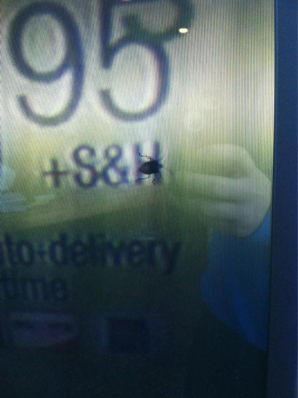 TheRake412's tweet image. #pittsburghproblems