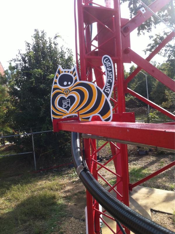 While giving a tour during our new antenna ceremony, we found this rare <a href="/cat_lanta/">karu_zyagariko</a> breed by the tower!