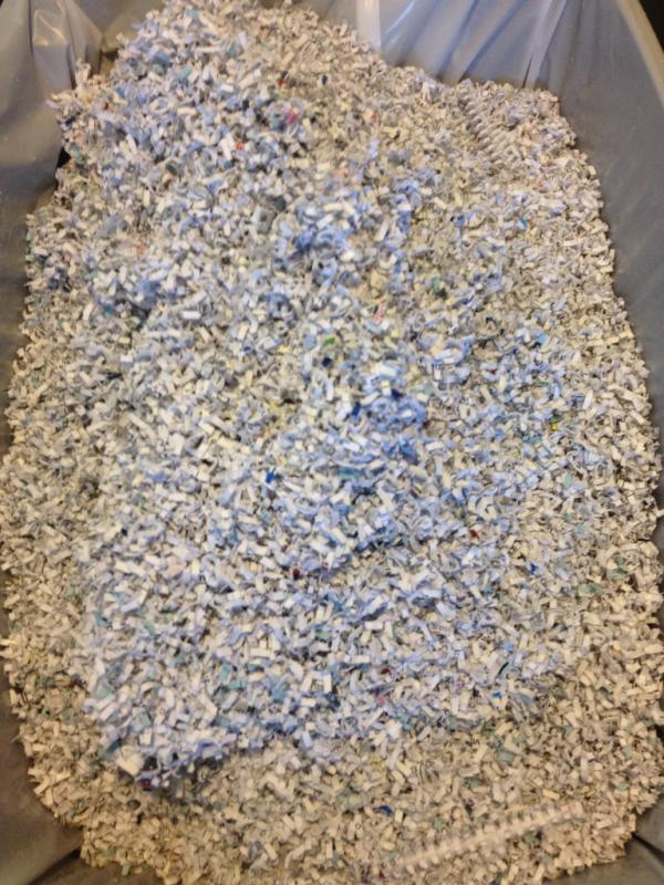 Development Gate tweet media