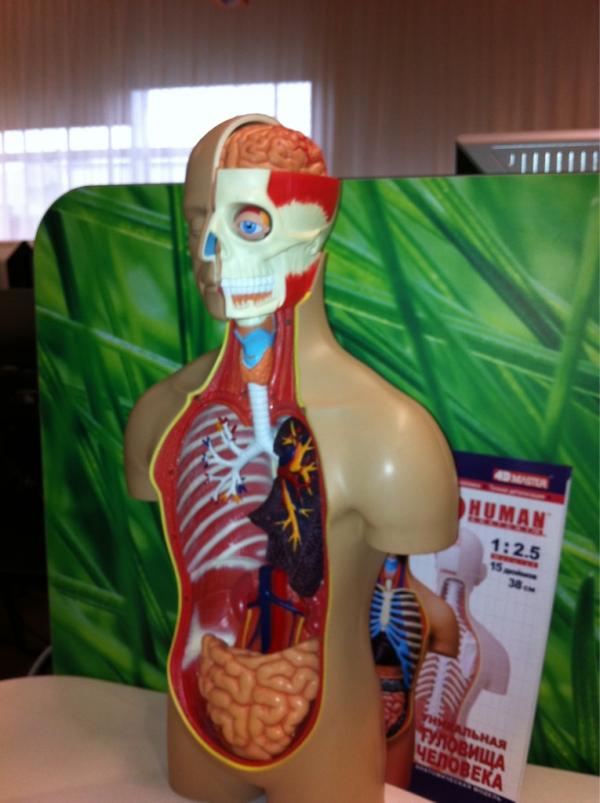 webarter's tweet image. Богатый внутренний мир человека