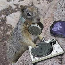 RT <a href="/bethcrockatt/">Beth Crockatt</a>: DJ Magazine Squirrel says "Relax..." <a href="/DJmag/">DJ Mag</a> <a href="/top100djs/">Top 100 DJs</a>  <a href="/MinistryofSound/">Ministry of Sound</a> @ERISTOFFvodkaUK