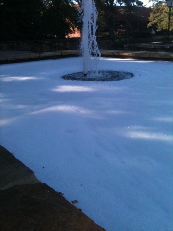 mollylentz's tweet image. #hendrixproblems