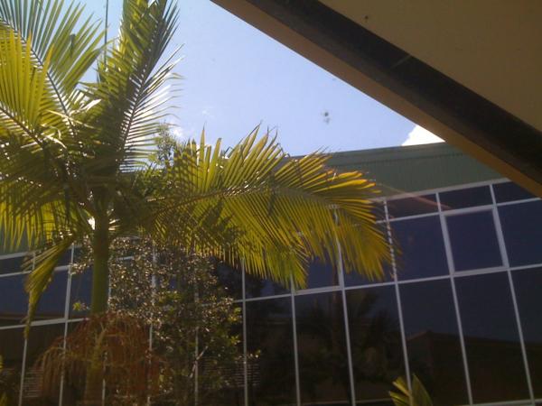 meteopredict's tweet photo. @c_sourcing 29 sunny http://t.co/GtxR2X75
