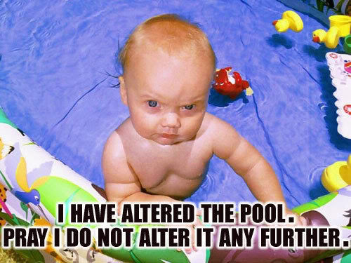 TommyMcGold's tweet image. Pool Boy Enemy #1 #poolboyproblems