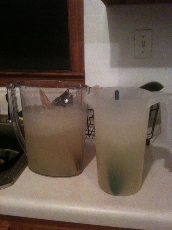 josh_liddle's tweet image. Casual margaritas on a tuesday night with George #gettingaggressive