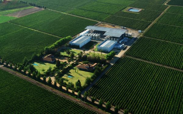 VinosSutil's tweet photo. Nuestra bodega en Peralillo! http://t.co/AHJvsXRV
