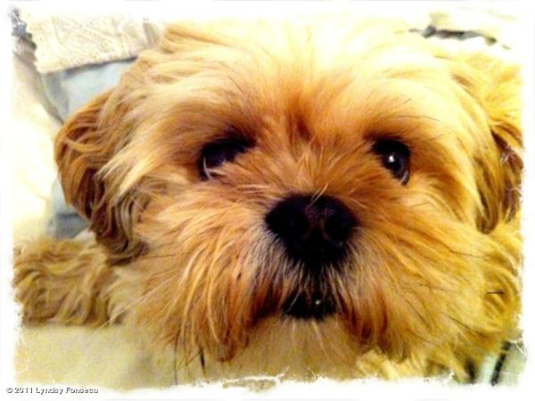 RomiFonsecaa's tweet photo. I have a busy day today :) http://t.co/6HHUbx8Z