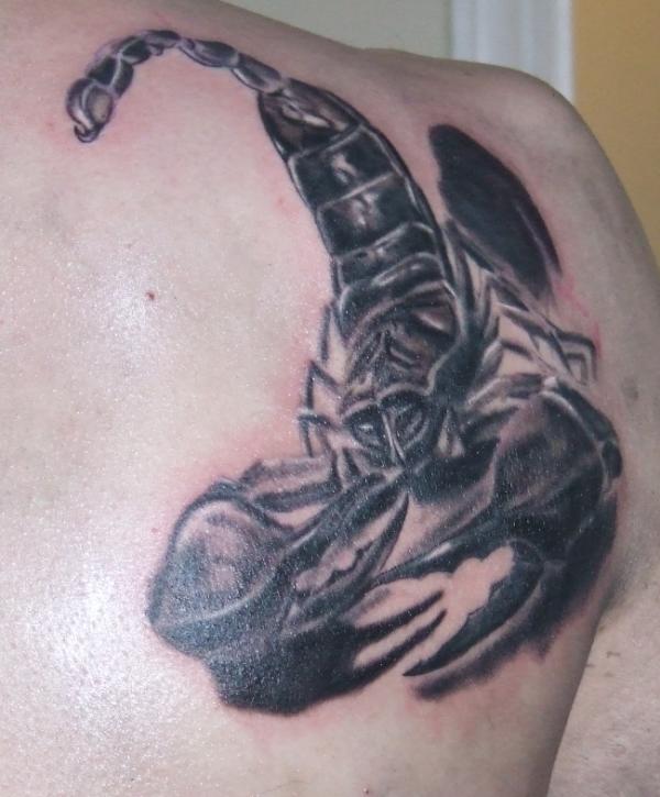 Wicked Meduza Tattoo (@wickedmeduzatat) on Twitter photo 