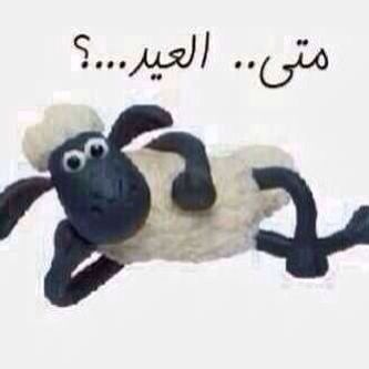 Aloola Al Bloushi tweet media