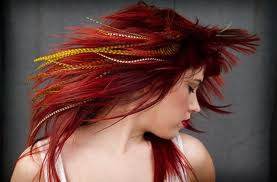 PebblesCardiff's tweet photo. #featherlocks feather extensions http://t.co/MKScYCeE