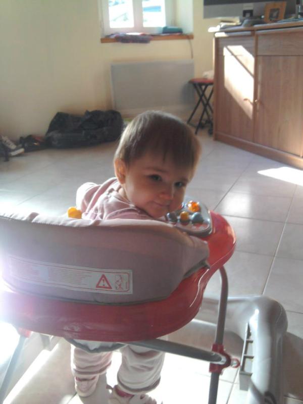 isabel ibanez chorib tweet media