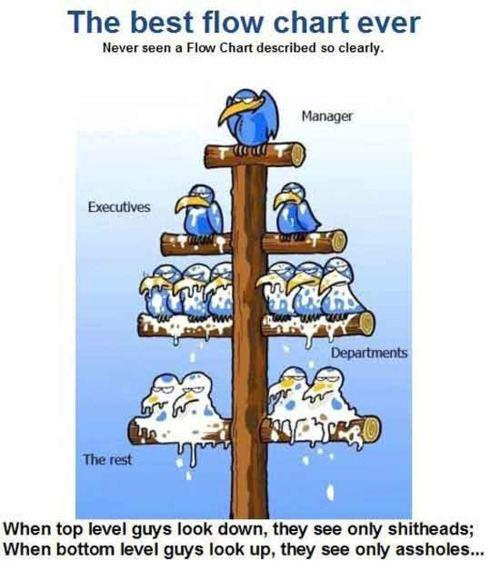 joannarout's tweet photo. an interesting take on management :) http://t.co/FaKzgfiG