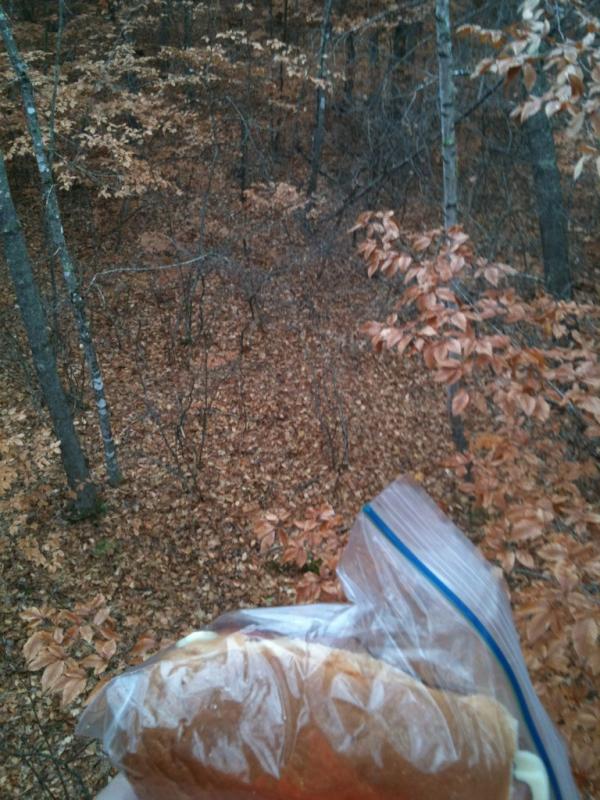 Mike Ford tweet media