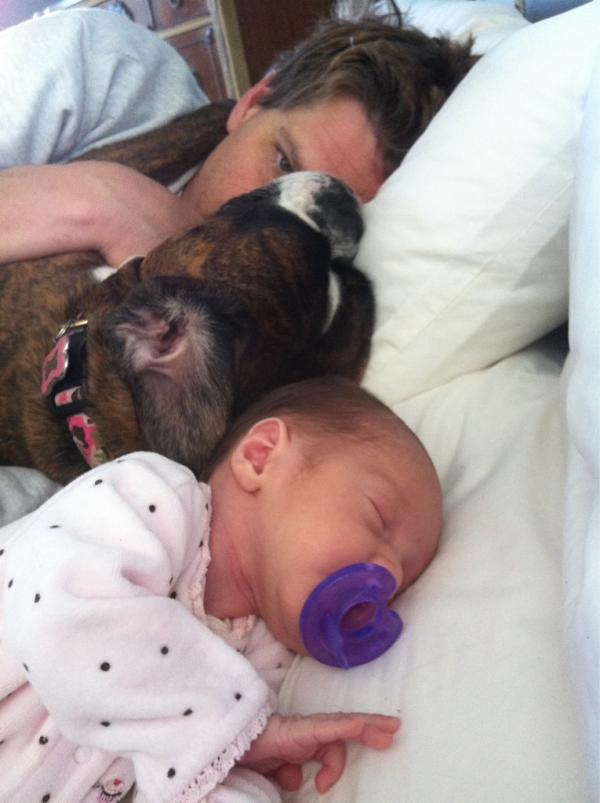 kristens13's tweet image. @TanyaKalani @jimblackmax @tpwmillard we were all lying in bed too! #evendogs