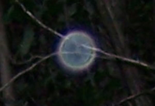 joecetrone's tweet photo. Strange orb captured in the back woods with a digital camera. http://t.co/0KsxXvQy
