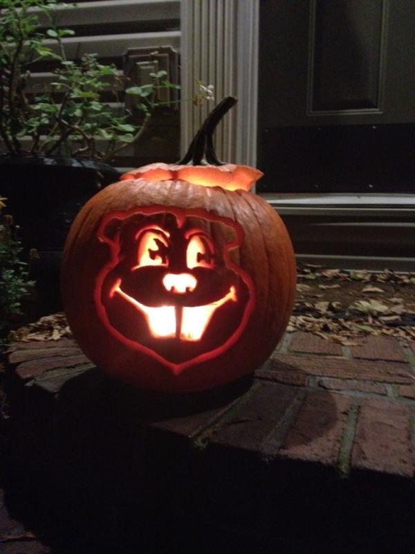 robinswords's tweet photo. @GoldenGophers yea gophers! http://t.co/6zYho6jr