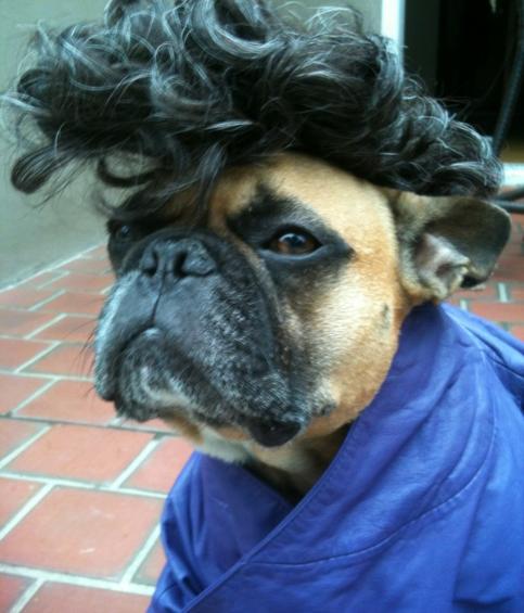 Rambo_White's tweet photo. I look hot. http://t.co/8E6nJELd