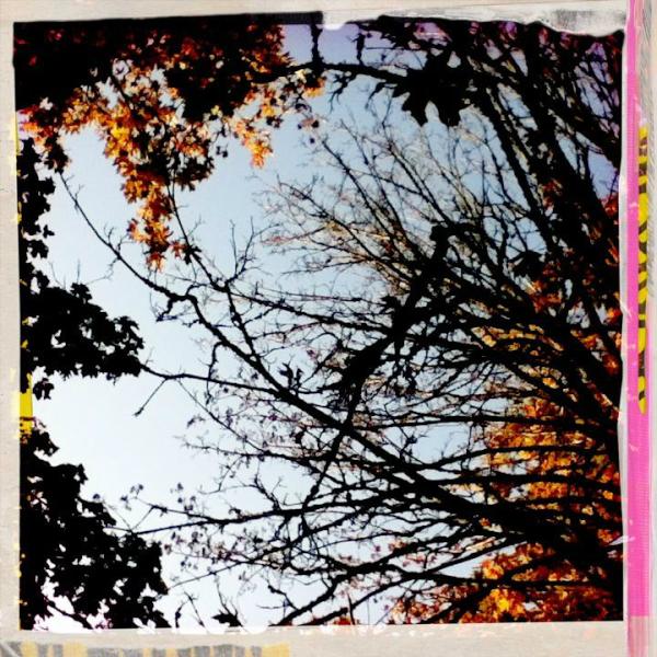 Lab_Mike's tweet photo. Fall photo - Mike ##b360talk http://t.co/ibzkaA8j