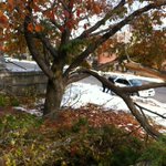 Photo by First Unitarian (@FirstU)