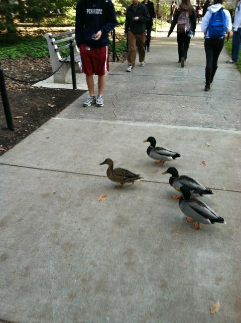 JessSopp's tweet image. #pennsylvaniaproblems