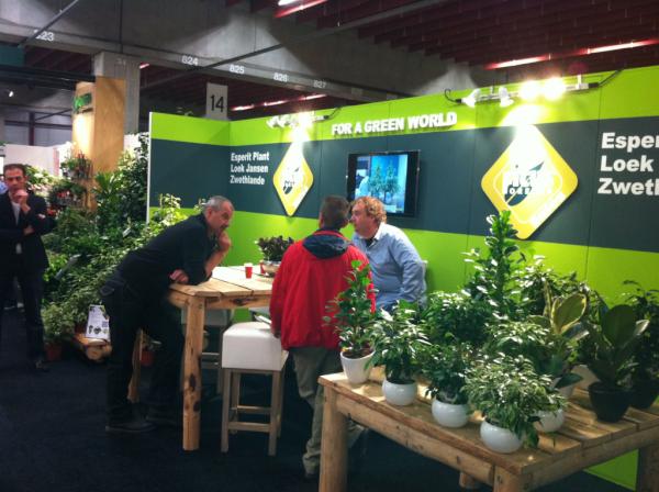 ficusforever tweet picture