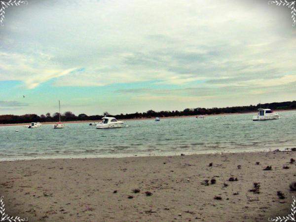 Nemo14000's tweet photo. http://t.co/aQZ320Cc