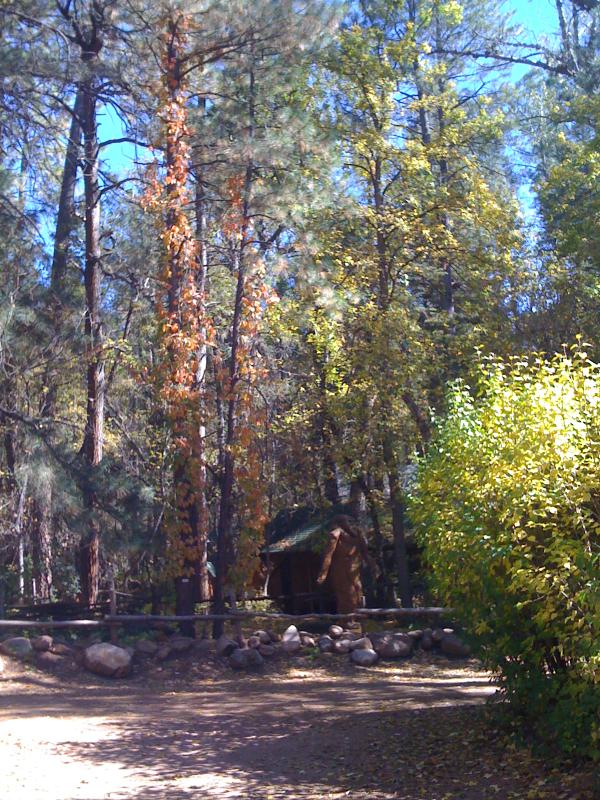 RelaxInAZ's tweet image. What a beautiful fall day in Christopher Creek!