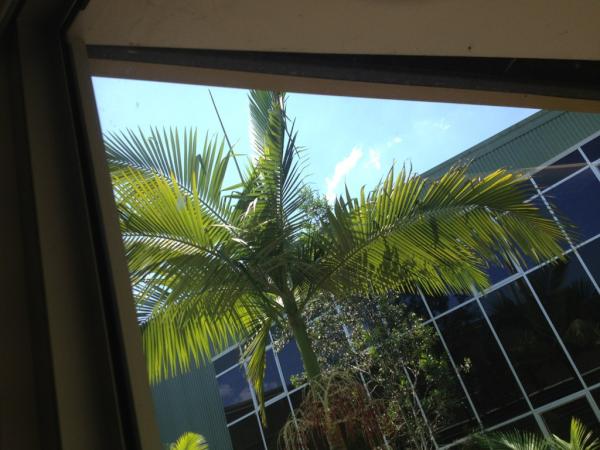 meteopredict's tweet photo. @c_sourcing 28 sunny http://t.co/qitddKIJ